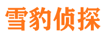 望谟市侦探调查公司